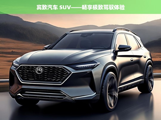 宾致汽车 SUV——畅享极致驾驭体验