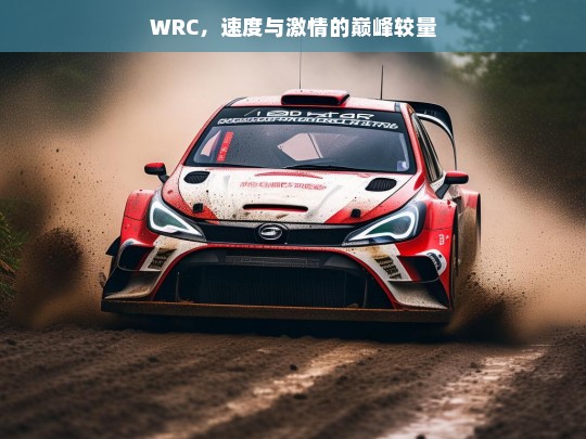 WRC，速度与激情的巅峰较量